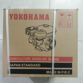 Máy nổ Yokohama GX-160